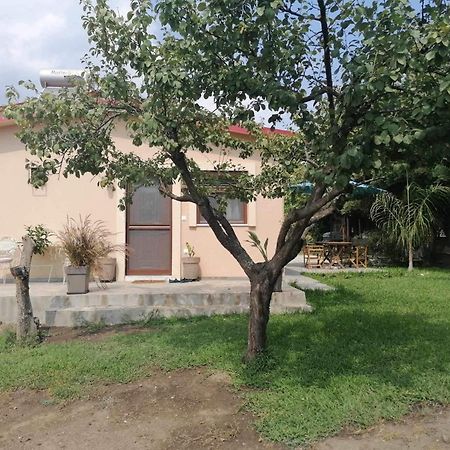 Vila Tiny House By The Sea Nea Skioni Exteriér fotografie
