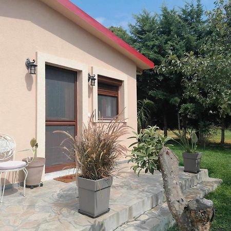 Vila Tiny House By The Sea Nea Skioni Exteriér fotografie