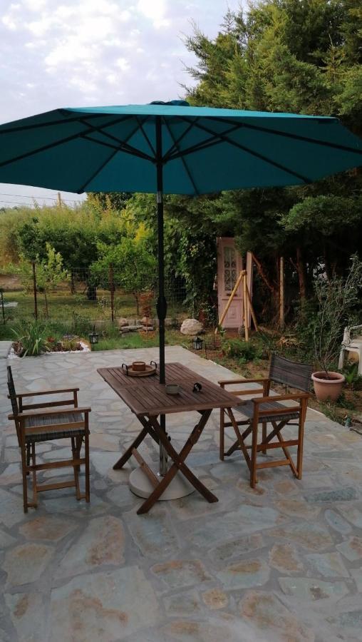Vila Tiny House By The Sea Nea Skioni Exteriér fotografie
