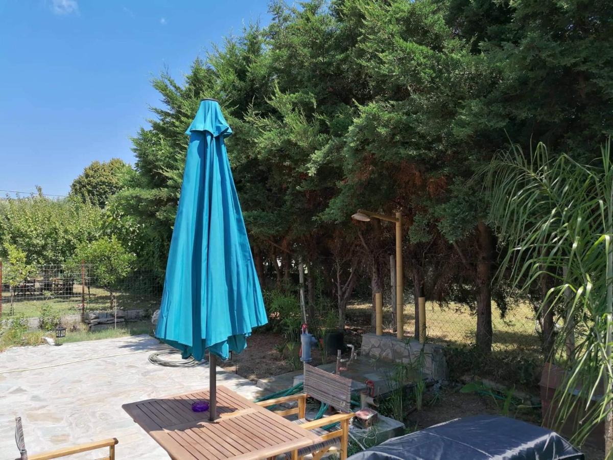Vila Tiny House By The Sea Nea Skioni Exteriér fotografie